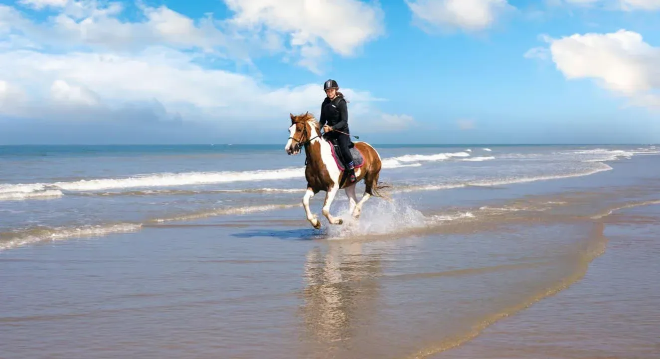 Safari a Cavallo – Deserto o Mare